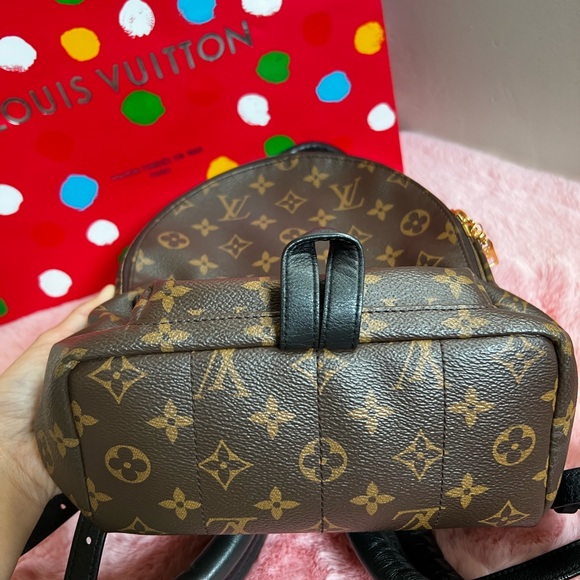 Louis Vuitton Palm Springs PM backpack - Picture 6 of 14
